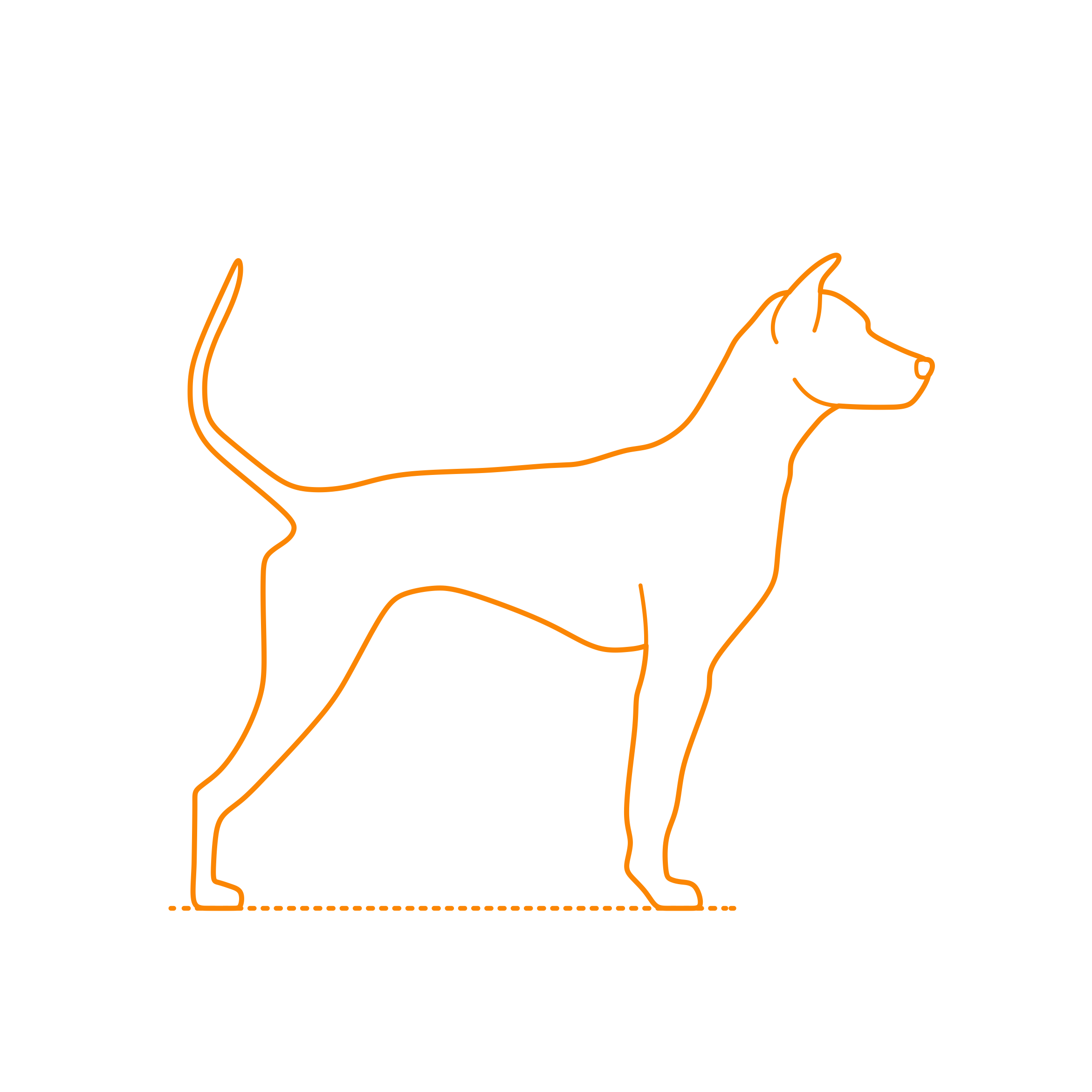 Animals Dogs Thai Ridgeback Sketch Style Svg Vector Free Vectors